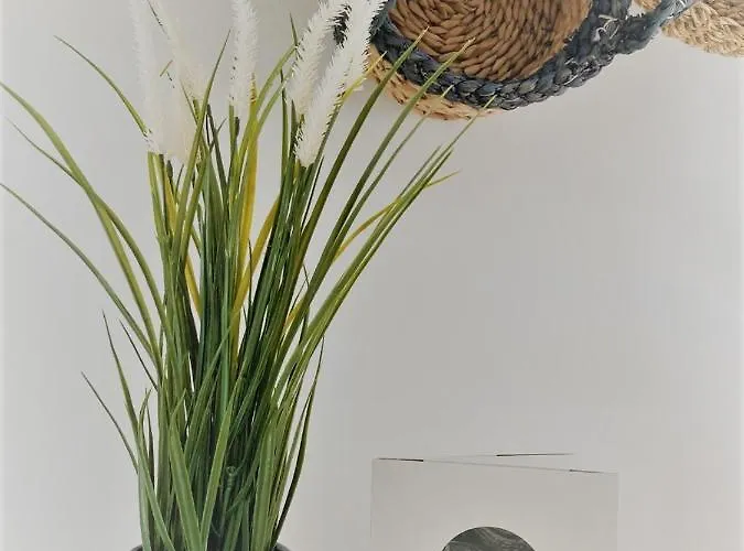 דירה El Envero *